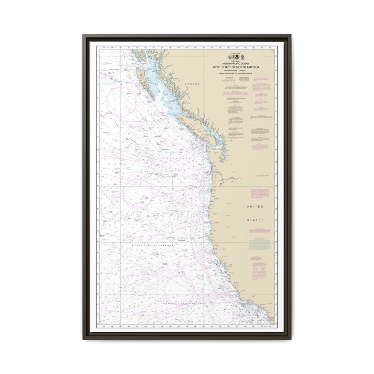 Chart 501 North Pacific Ocean West Coast Of North America Mexican Border To Dixon Entrance - NOAA Nautical Chart Floating Frame Canvas | 20" x 30" | 24" x 36" | 32" x 48" - Espresso front