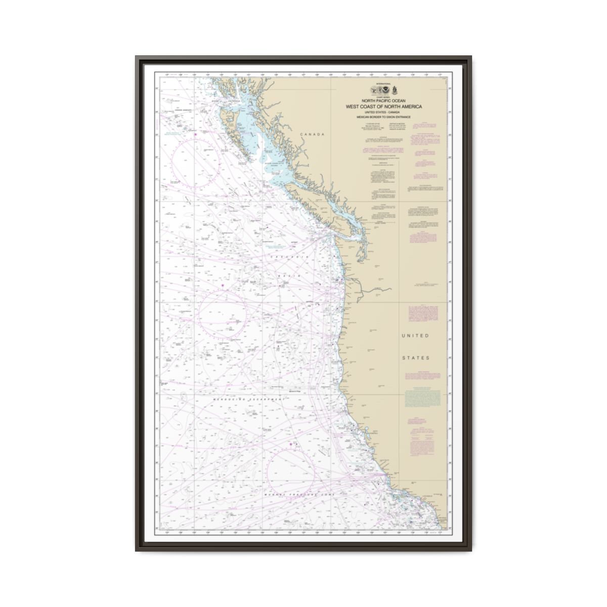 Chart 501 North Pacific Ocean West Coast Of North America Mexican Border To Dixon Entrance - NOAA Nautical Chart Floating Frame Canvas | 20" x 30" | 24" x 36" | 32" x 48" - Espresso front
