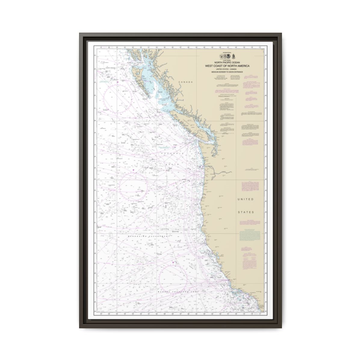 Chart 501 North Pacific Ocean West Coast Of North America Mexican Border To Dixon Entrance - NOAA Nautical Chart Floating Frame Canvas | 20" x 30" | 24" x 36" | 32" x 48" - Espresso front