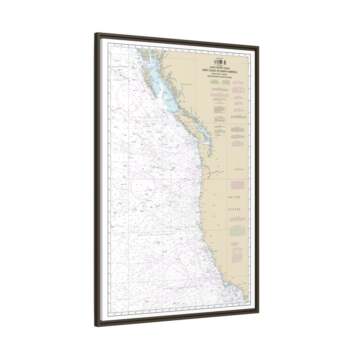 Chart 501 North Pacific Ocean West Coast Of North America Mexican Border To Dixon Entrance - NOAA Nautical Chart Floating Frame Canvas | 20" x 30" | 24" x 36" | 32" x 48" - Espresso side