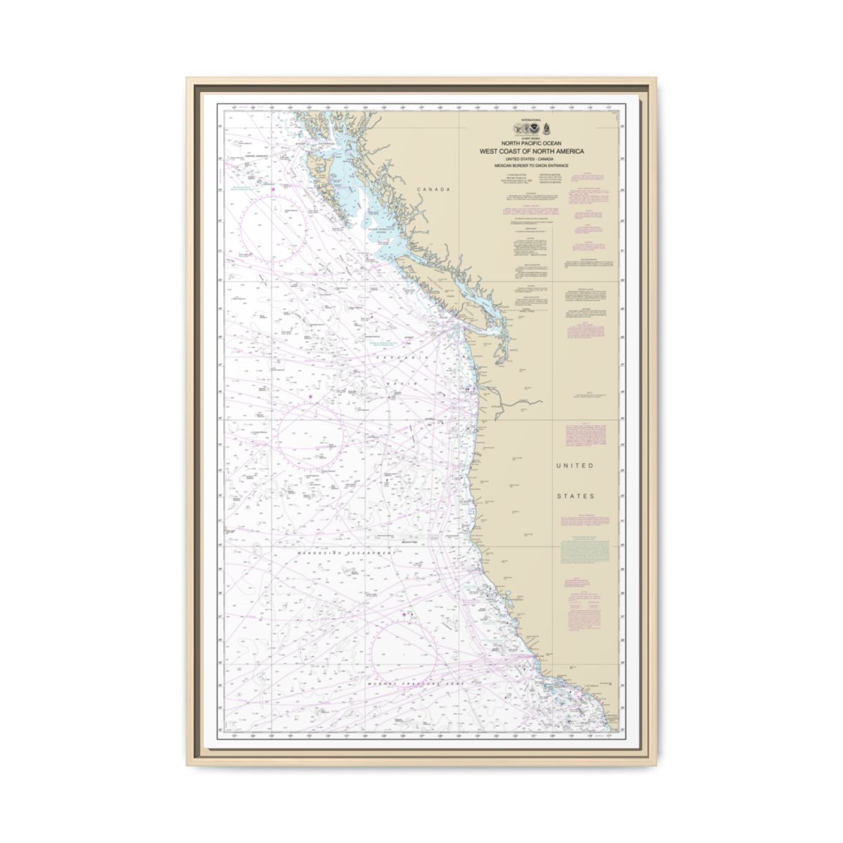 Chart 501 North Pacific Ocean West Coast Of North America Mexican Border To Dixon Entrance - NOAA Nautical Chart Floating Frame Canvas | 20" x 30" | 24" x 36" | 32" x 48" - Natural front