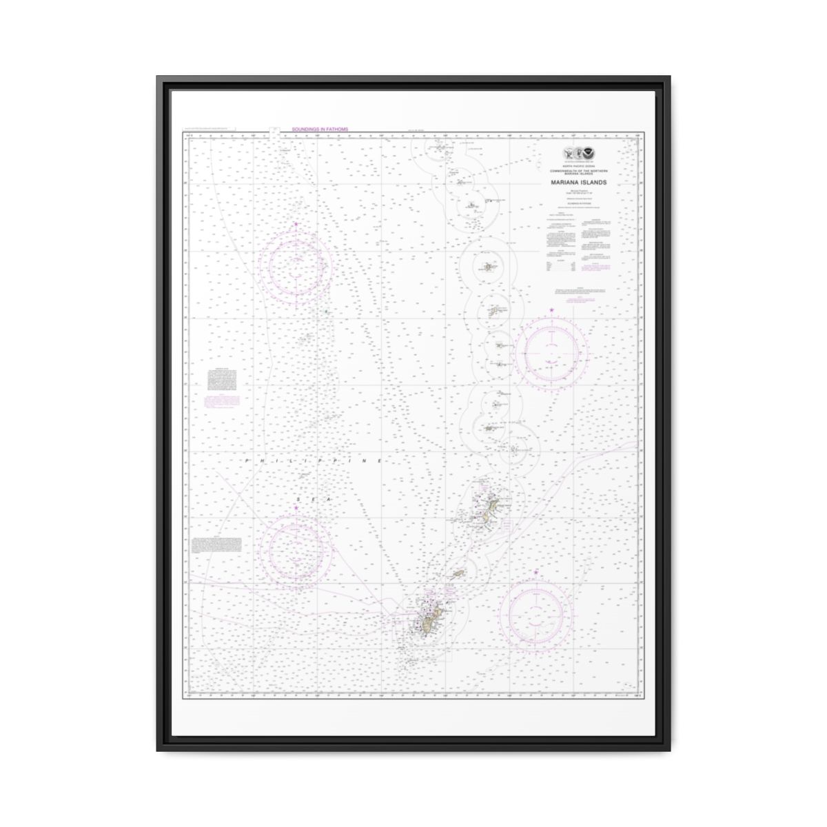 Chart 81004 Commonwealth of the Northern Mariana Islands - NOAA Nautical Chart Floating Frame Canvas | 24" x 32" | 30" x 40" - Black front