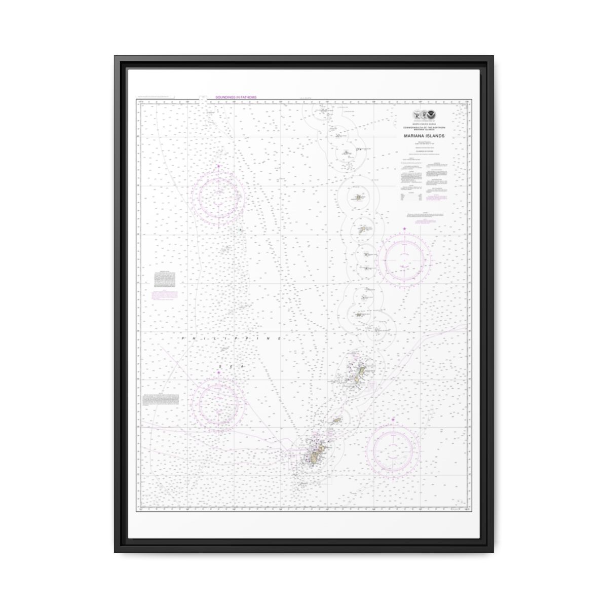 Chart 81004 Commonwealth of the Northern Mariana Islands - NOAA Nautical Chart Floating Frame Canvas | 24" x 32" | 30" x 40" - Black front