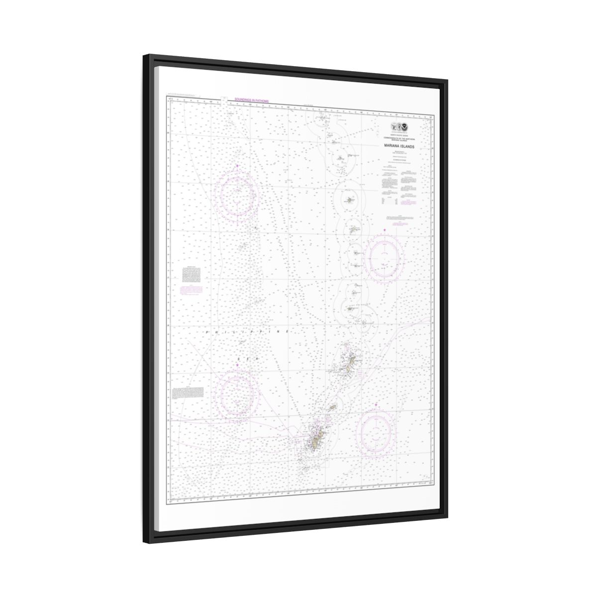 Chart 81004 Commonwealth of the Northern Mariana Islands - NOAA Nautical Chart Floating Frame Canvas | 24" x 32" | 30" x 40" - Black side