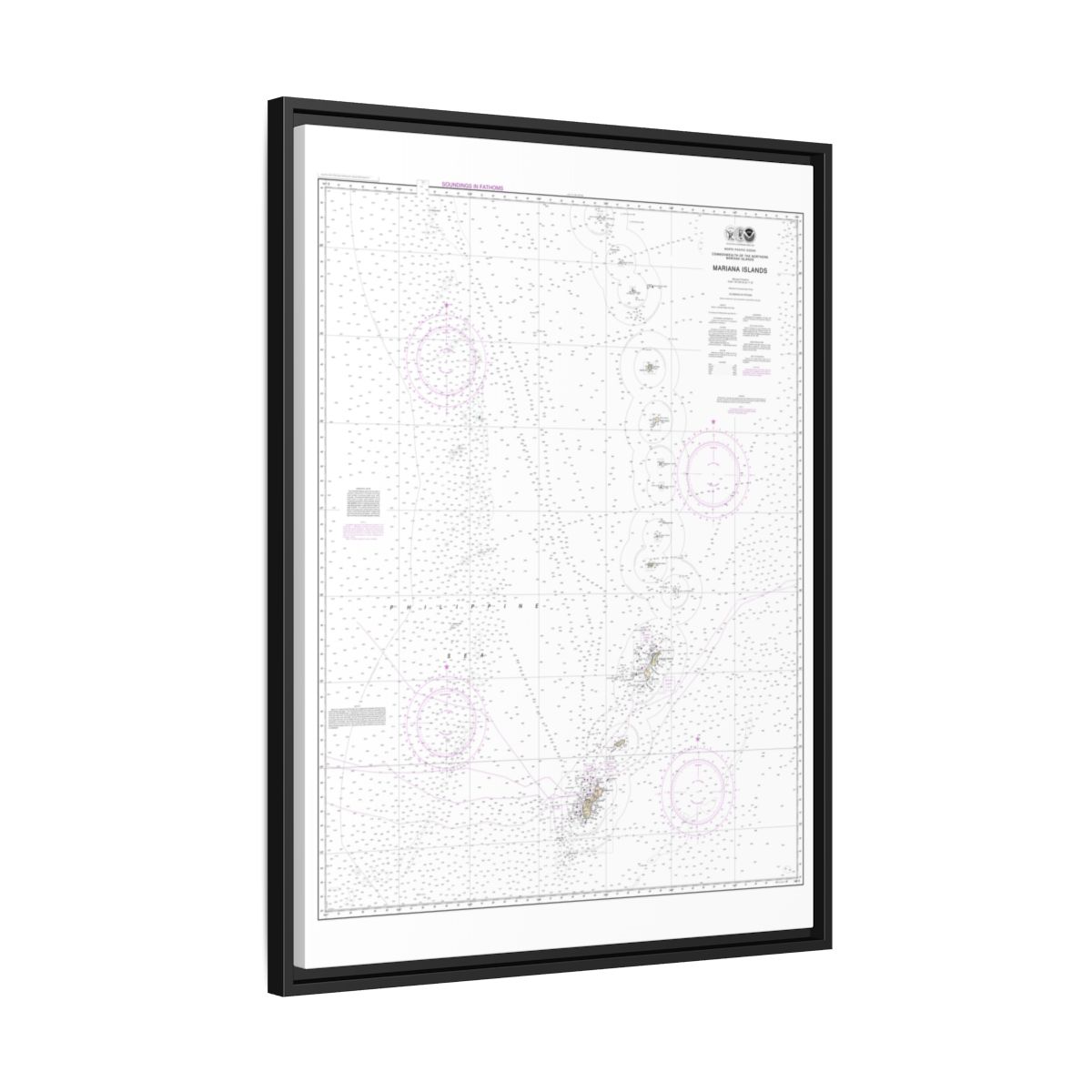 Chart 81004 Commonwealth of the Northern Mariana Islands - NOAA Nautical Chart Floating Frame Canvas | 24" x 32" | 30" x 40" - Black side