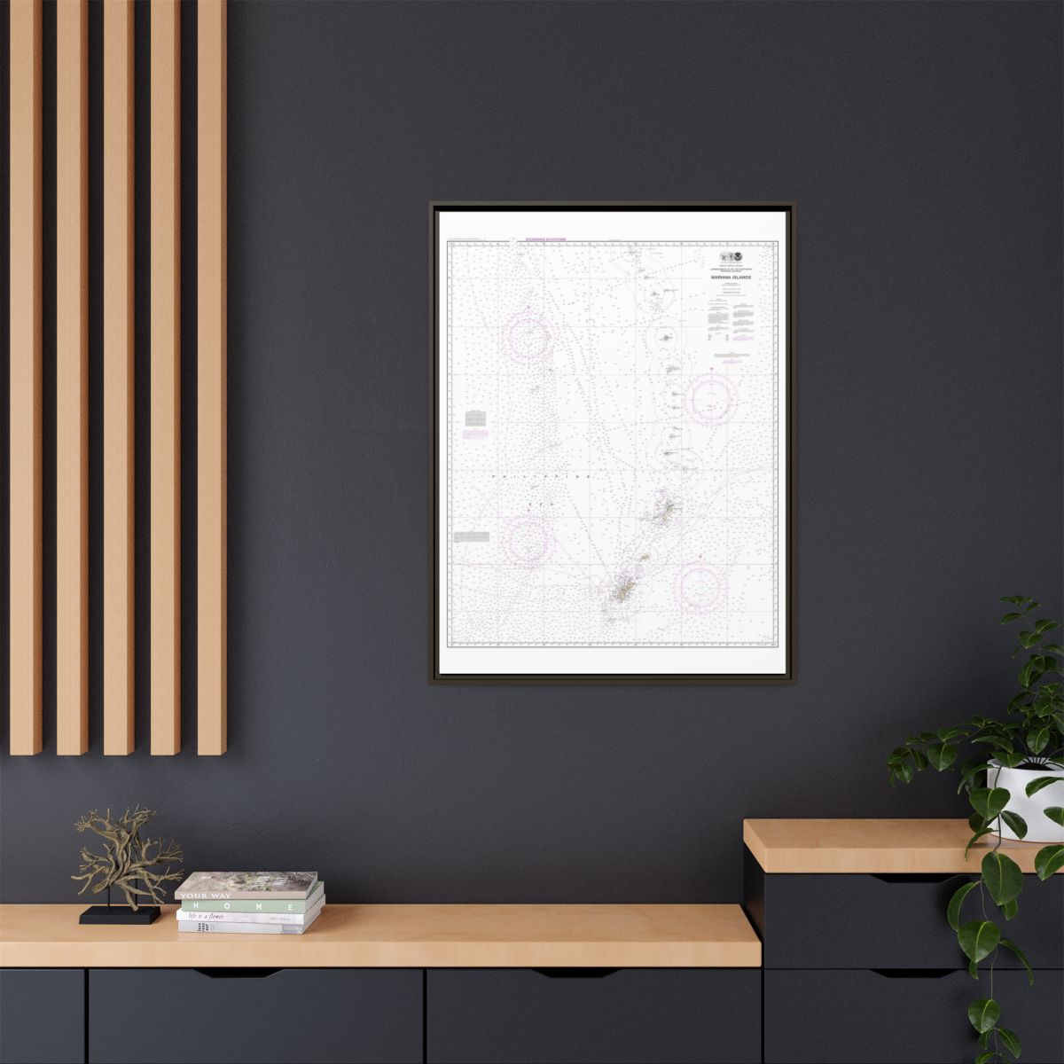 Chart 81004 Commonwealth of the Northern Mariana Islands - NOAA Nautical Chart Floating Frame Canvas | 24" x 32" | 30" x 40" - Espresso context-2