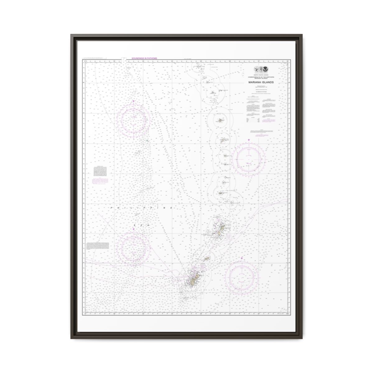 Chart 81004 Commonwealth of the Northern Mariana Islands - NOAA Nautical Chart Floating Frame Canvas | 24" x 32" | 30" x 40" - Espresso front