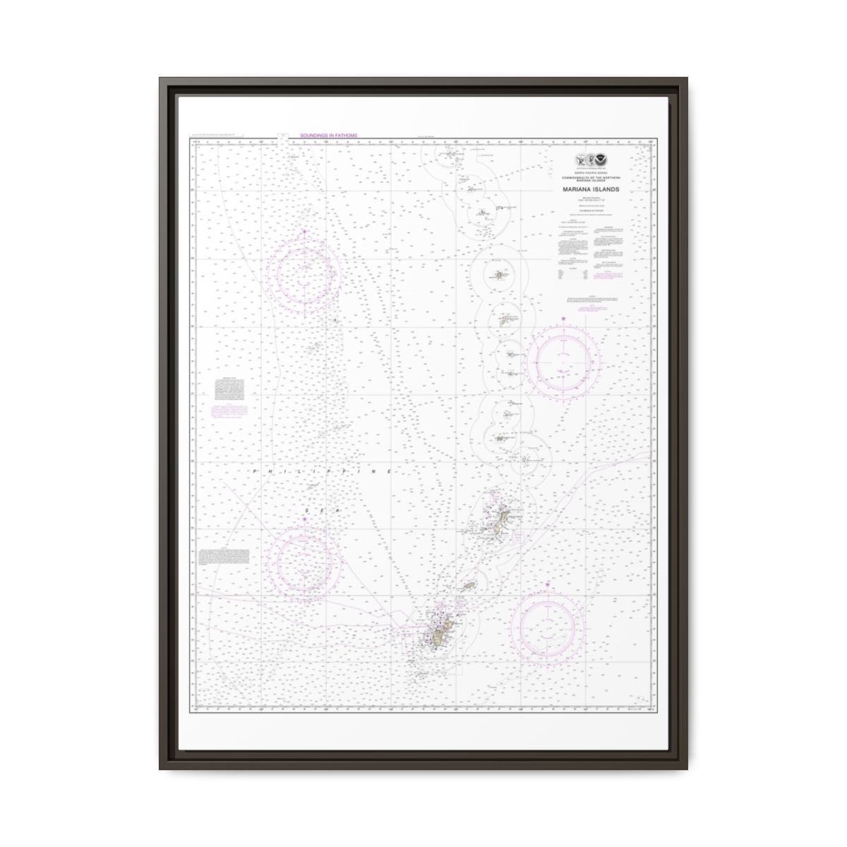 Chart 81004 Commonwealth of the Northern Mariana Islands - NOAA Nautical Chart Floating Frame Canvas | 24" x 32" | 30" x 40" - Espresso front