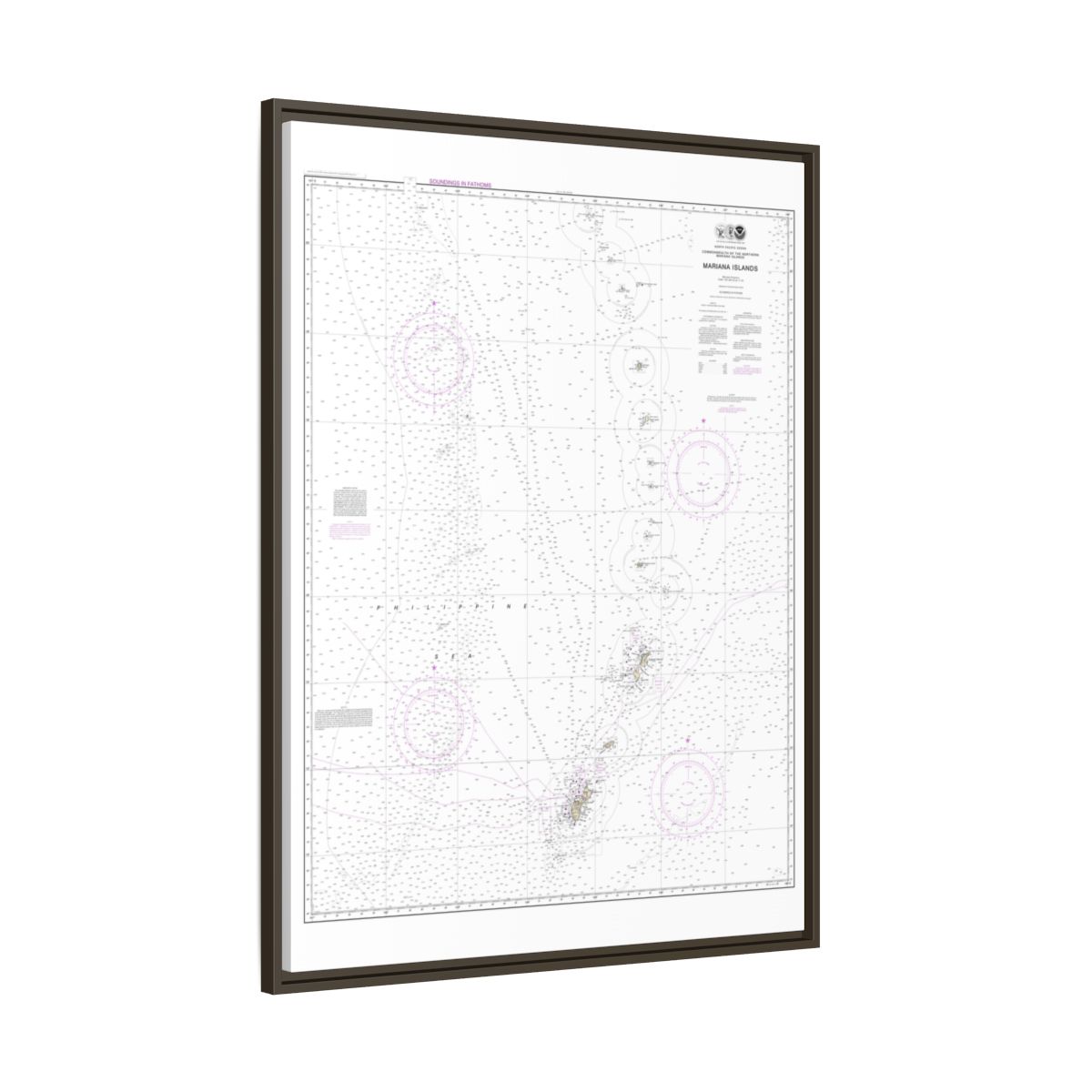 Chart 81004 Commonwealth of the Northern Mariana Islands - NOAA Nautical Chart Floating Frame Canvas | 24" x 32" | 30" x 40" - Espresso side