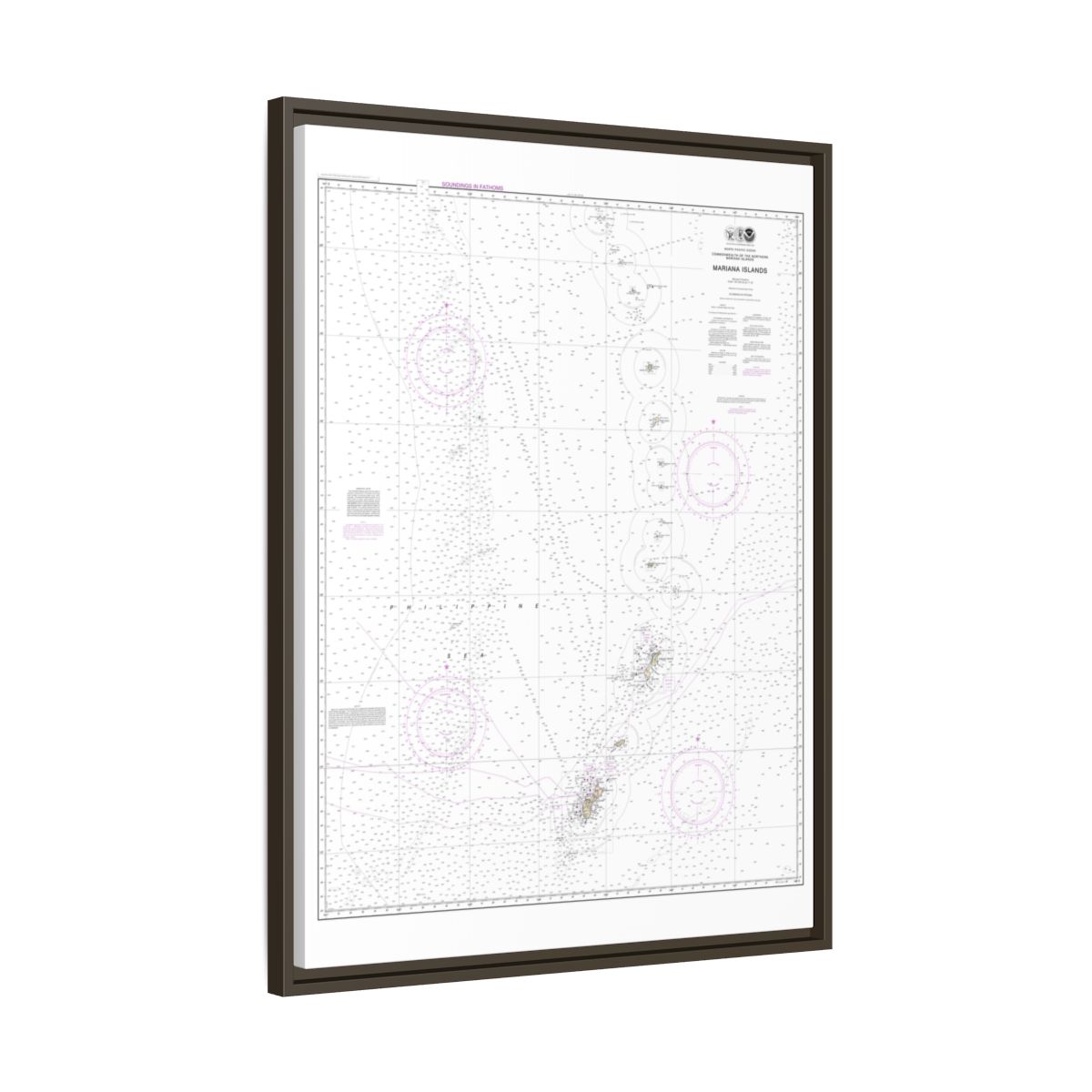 Chart 81004 Commonwealth of the Northern Mariana Islands - NOAA Nautical Chart Floating Frame Canvas | 24" x 32" | 30" x 40" - Espresso side