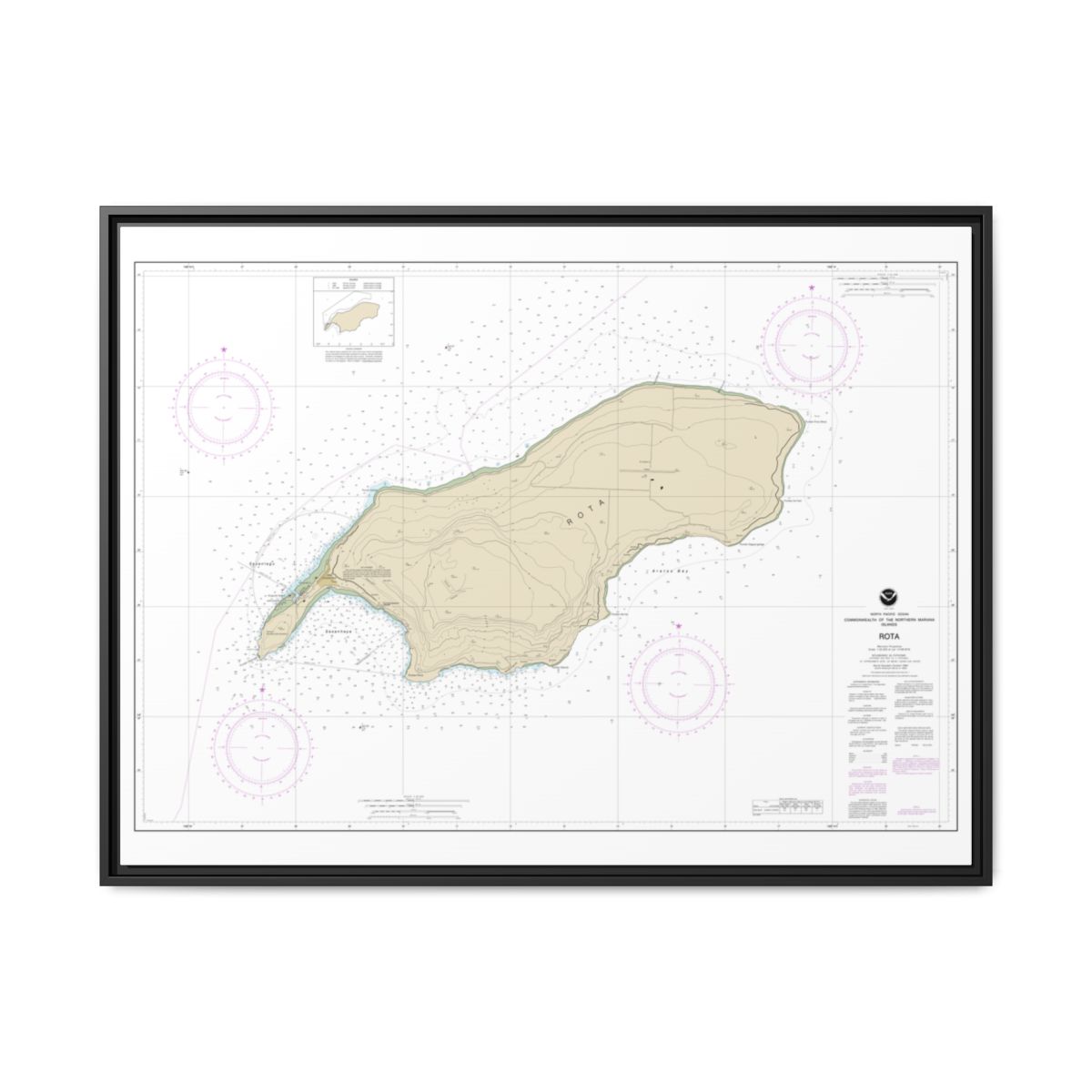Chart 81063 Commonwealth of the Northern Mariana Islands Rota - NOAA Nautical Chart Floating Frame Canvas | 32" x 24" | 40" x 30" - Black front