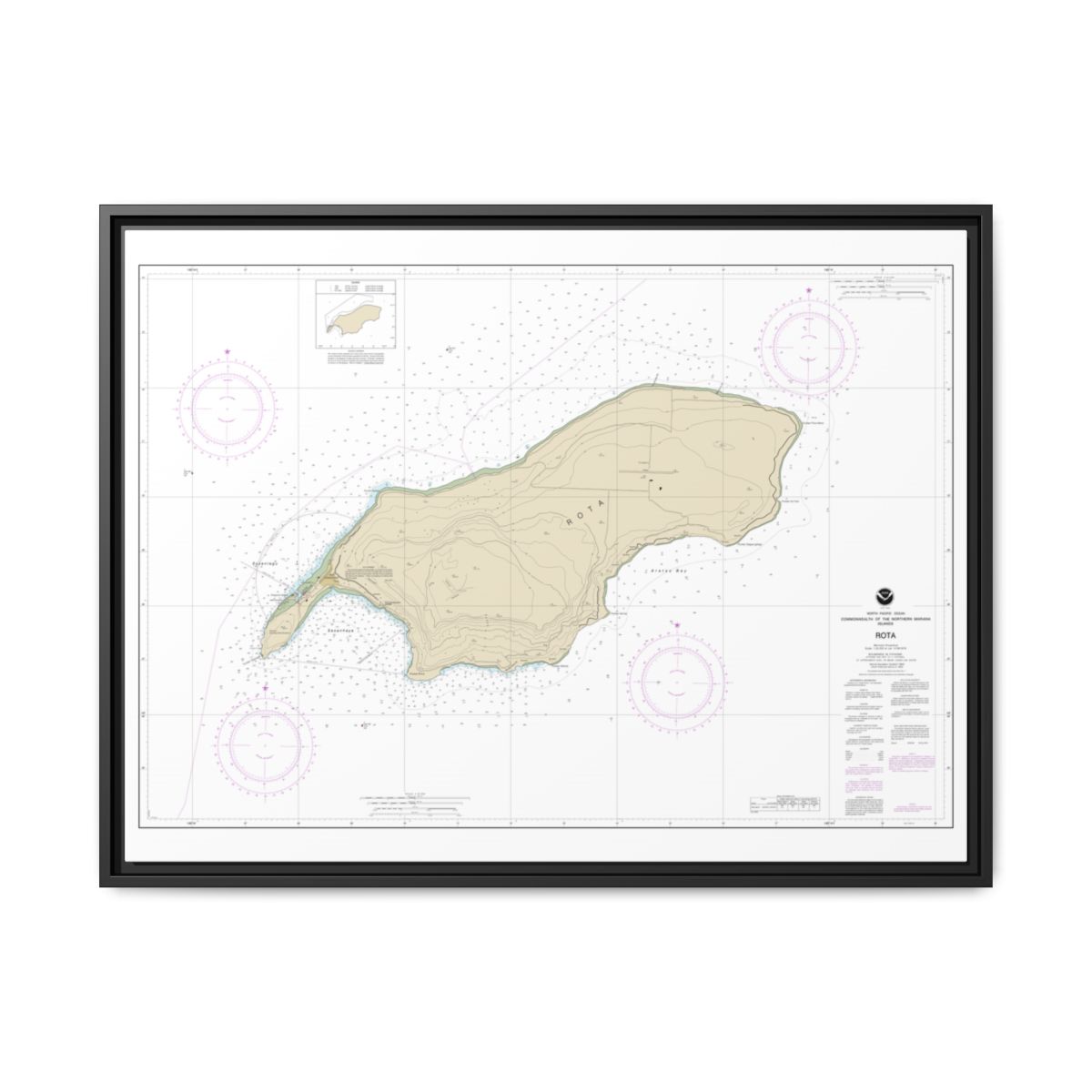 Chart 81063 Commonwealth of the Northern Mariana Islands Rota - NOAA Nautical Chart Floating Frame Canvas | 32" x 24" | 40" x 30" - Black front