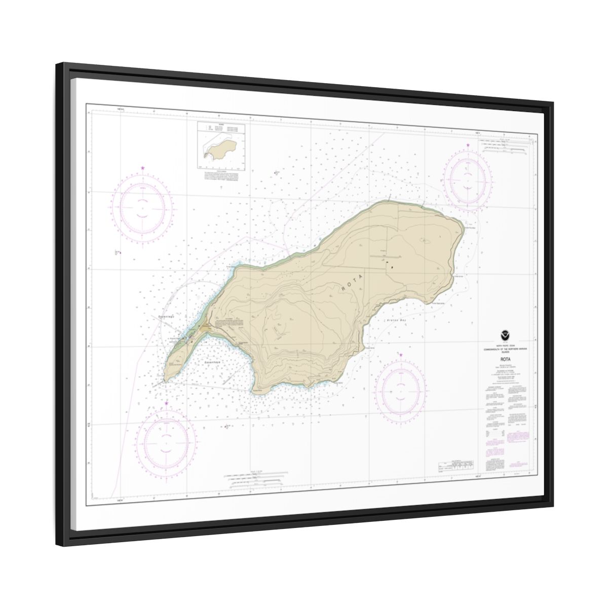 Chart 81063 Commonwealth of the Northern Mariana Islands Rota - NOAA Nautical Chart Floating Frame Canvas | 32" x 24" | 40" x 30" - Black side