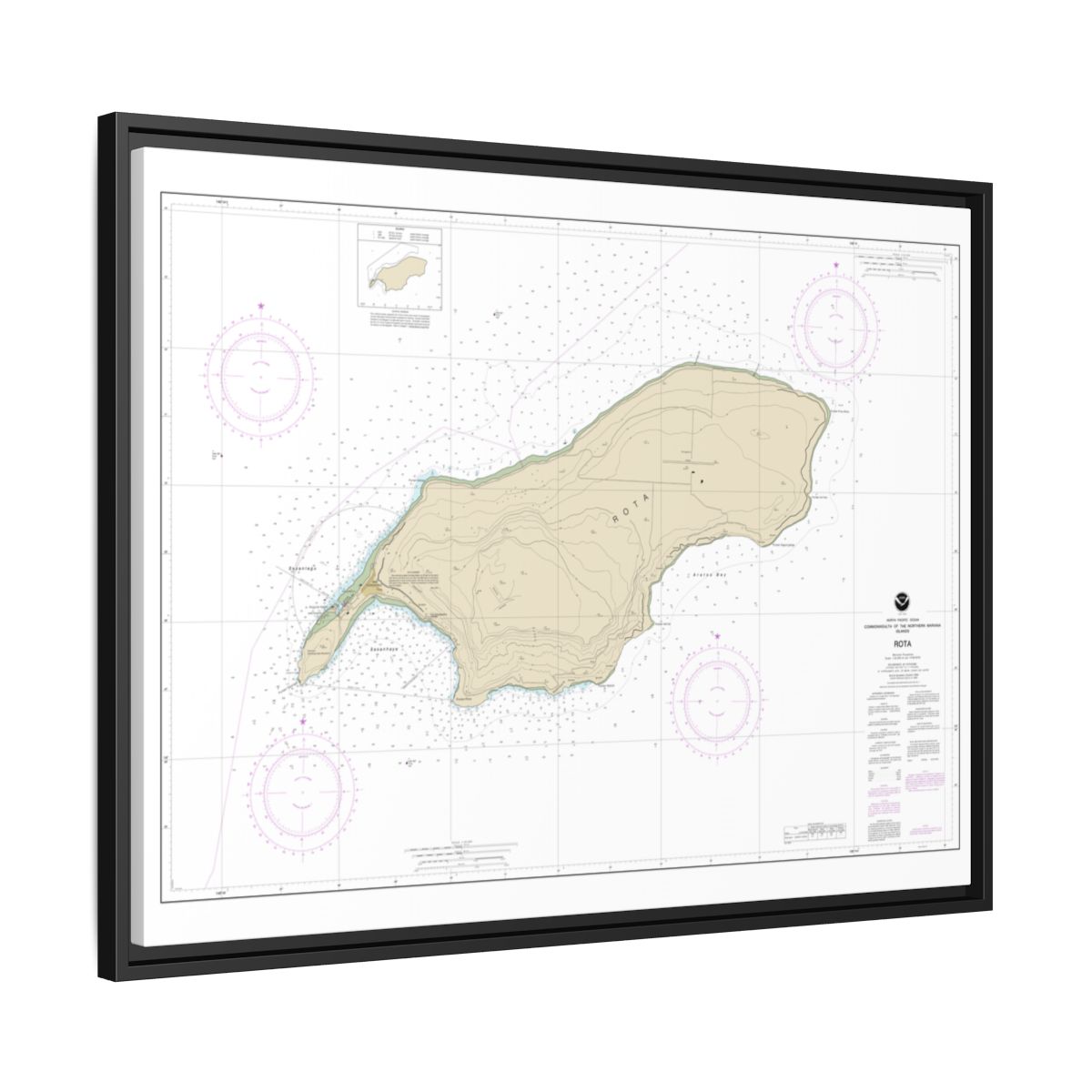 Chart 81063 Commonwealth of the Northern Mariana Islands Rota - NOAA Nautical Chart Floating Frame Canvas | 32" x 24" | 40" x 30" - Black side