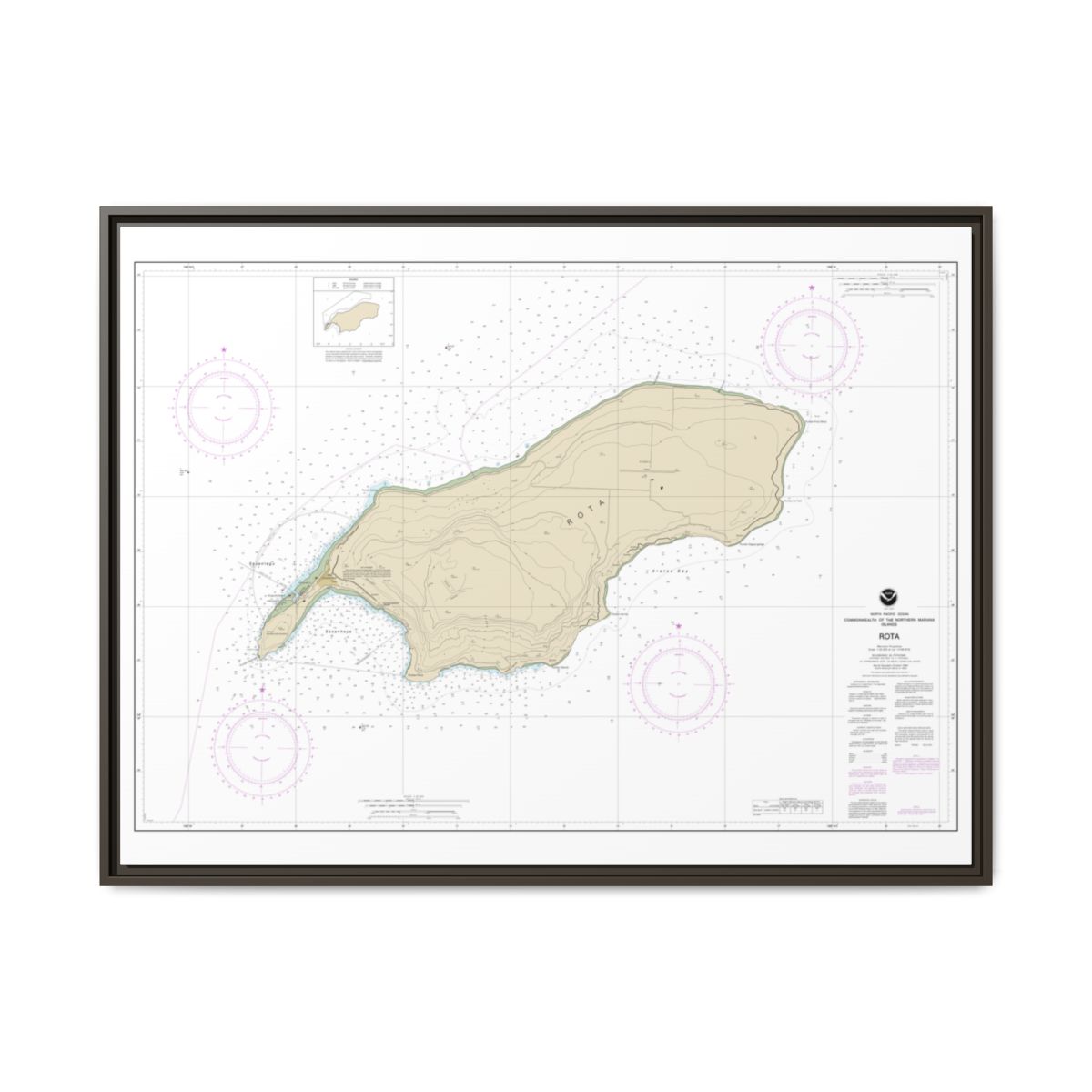 Chart 81063 Commonwealth of the Northern Mariana Islands Rota - NOAA Nautical Chart Floating Frame Canvas | 32" x 24" | 40" x 30" - Espresso front