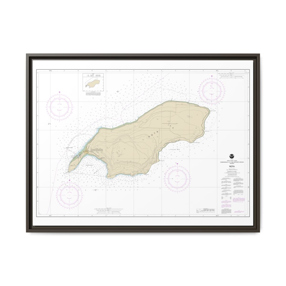 Chart 81063 Commonwealth of the Northern Mariana Islands Rota - NOAA Nautical Chart Floating Frame Canvas | 32" x 24" | 40" x 30" - Espresso front