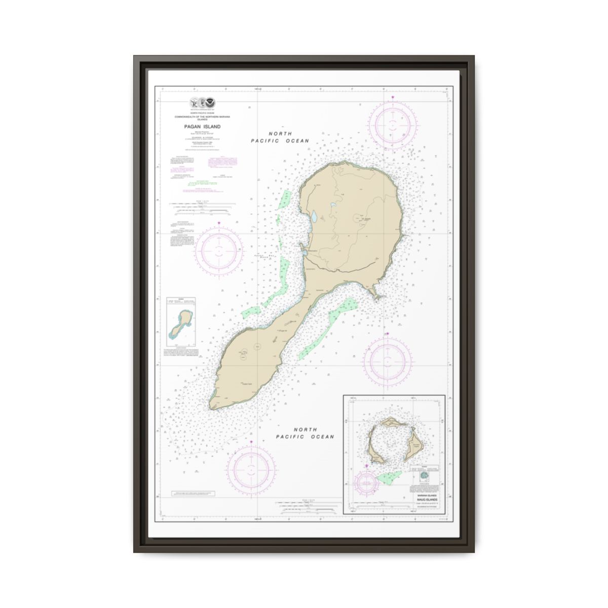 Chart 81092 Commonwealth of the Northern Mariana Islands - NOAA Nautical Chart Floating Frame Canvas | 20" x 30" | 24" x 36" | 32" x 48" - Espresso front
