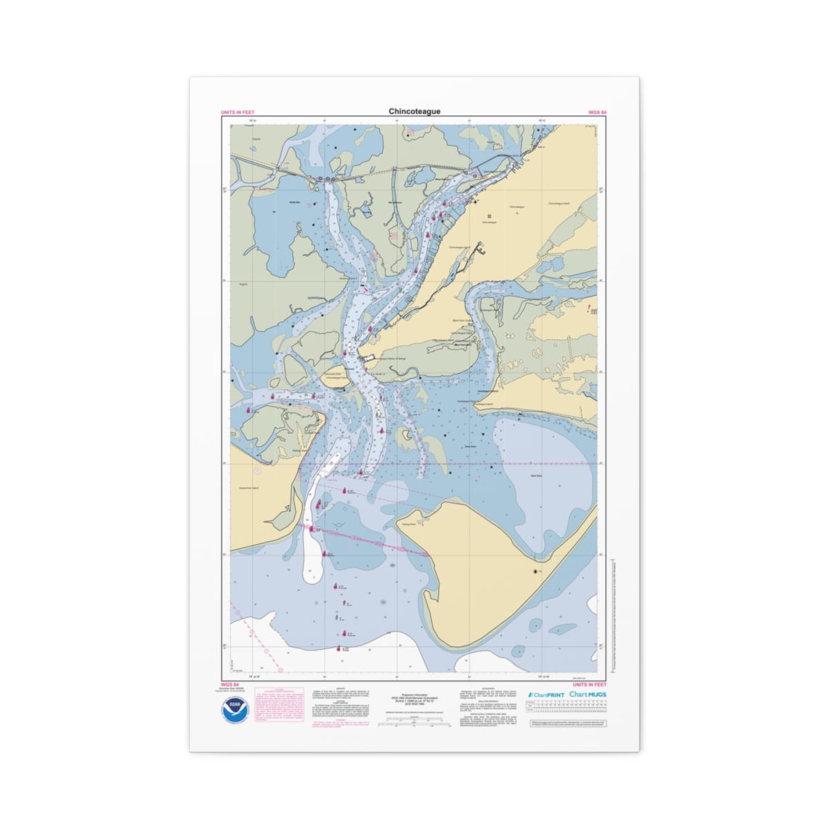 Canvas Custom Chart of Chincoteague - NOAA Nautical Chart 22" x 34"