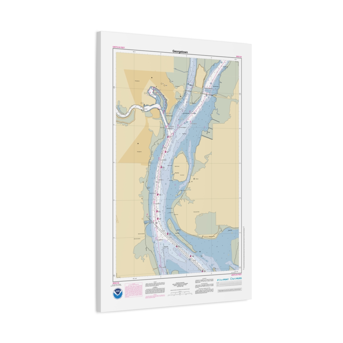 Canvas Custom Chart of Georgetown - NOAA Nautical Chart 22" x 34"