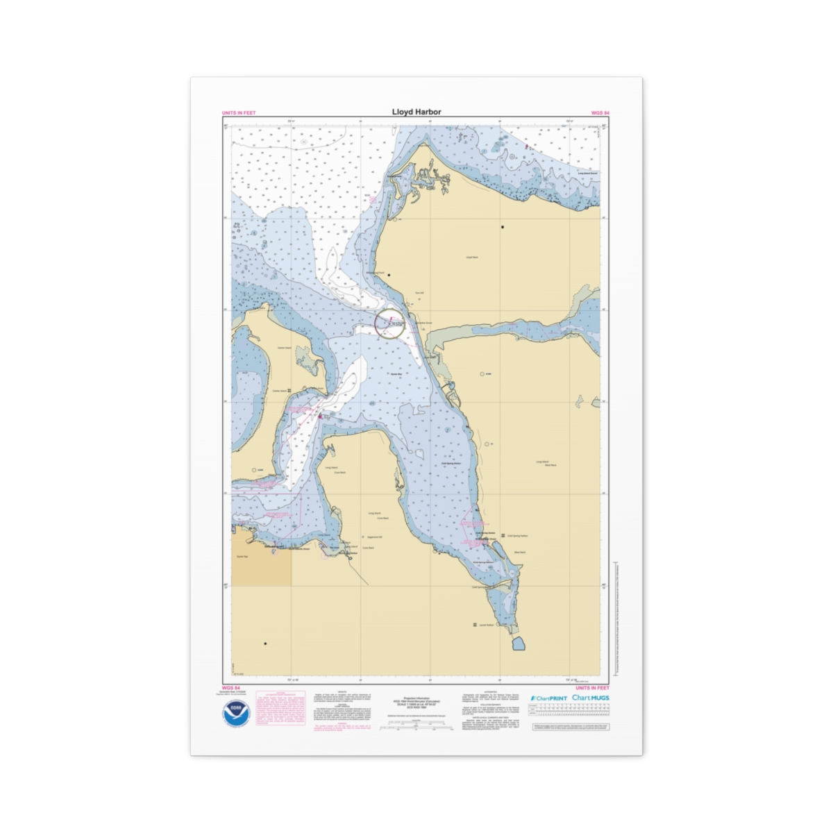 Canvas Custom Chart of Lloyd Harbor - NOAA Nautical Chart 22" x 34"