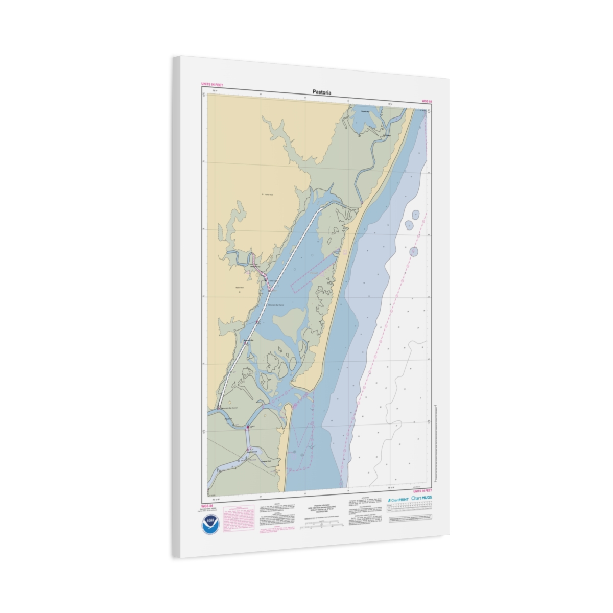 Canvas Custom Chart of Pastoria - NOAA Nautical Chart 22" x 34"