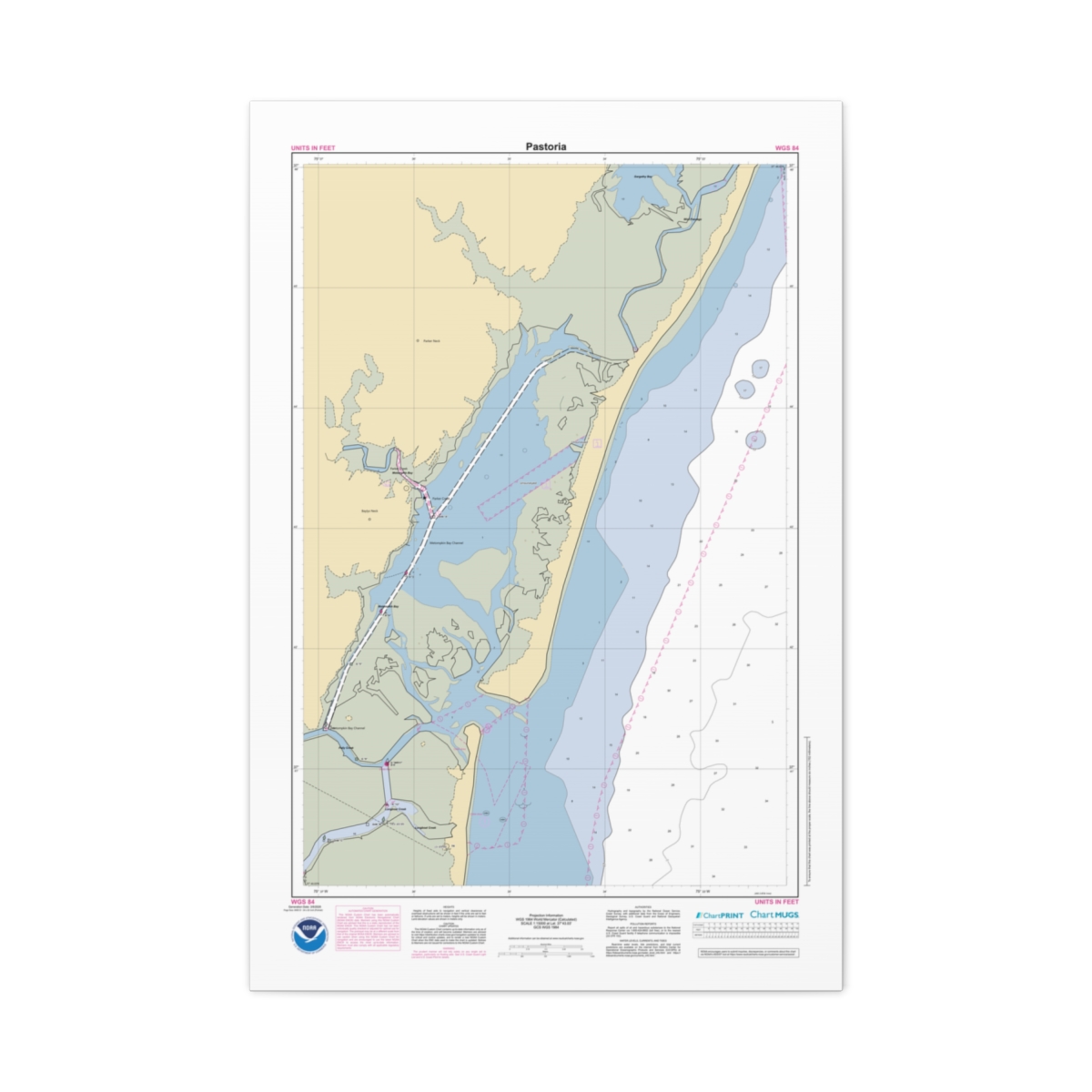Canvas Custom Chart of Pastoria - NOAA Nautical Chart 22" x 34"