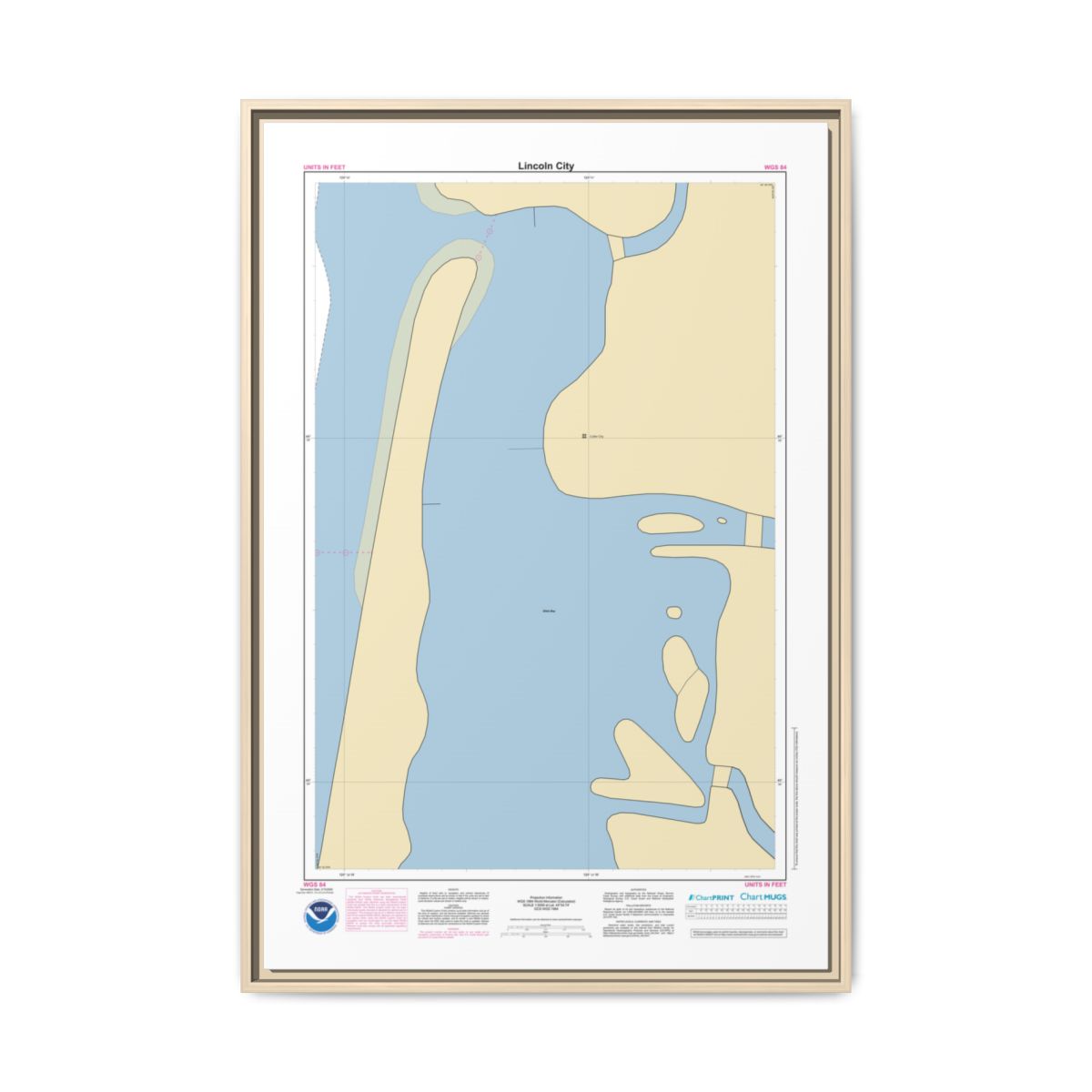 Floating Frame Canvas