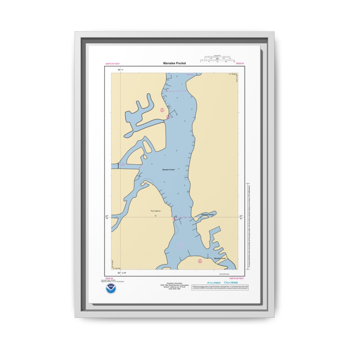 Floating Frame Canvas