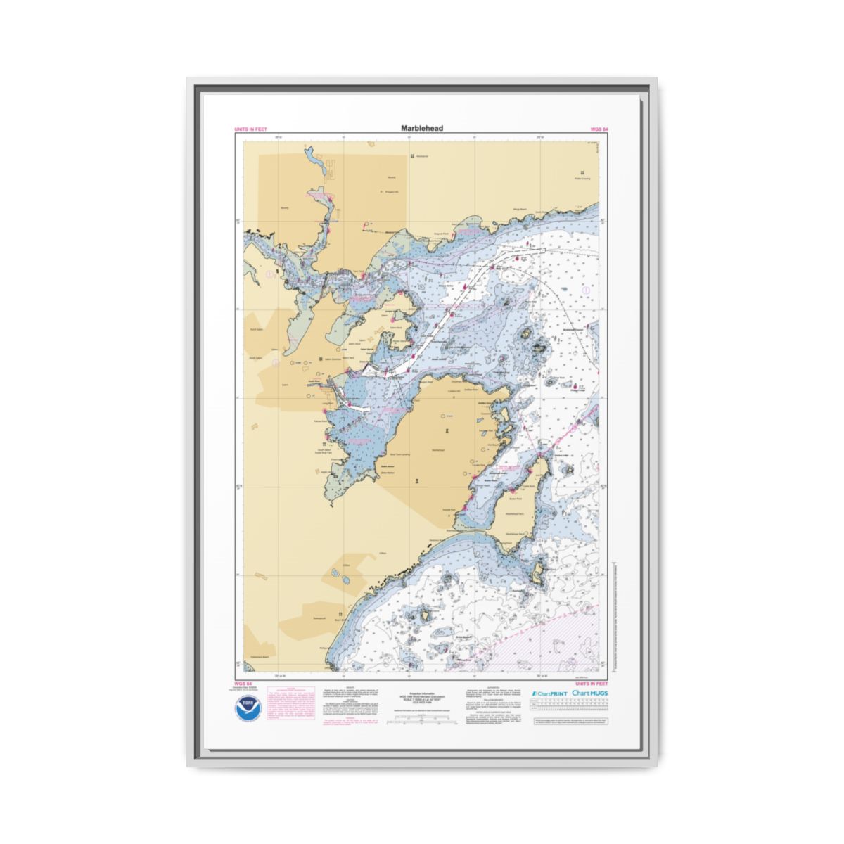 Floating Frame Canvas