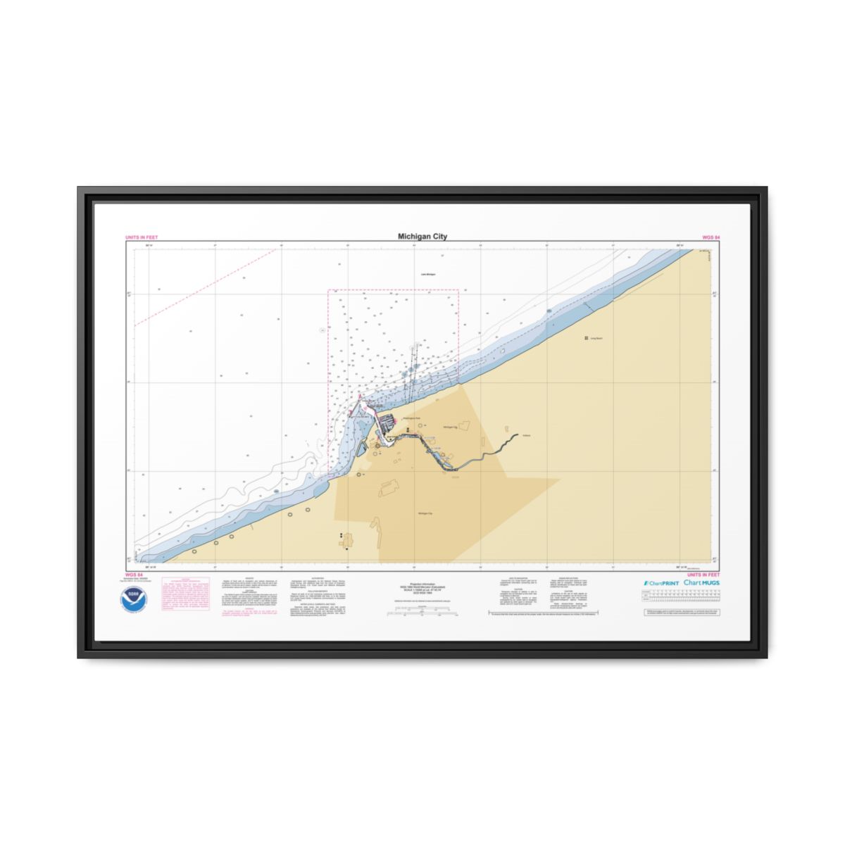 Floating Frame Canvas