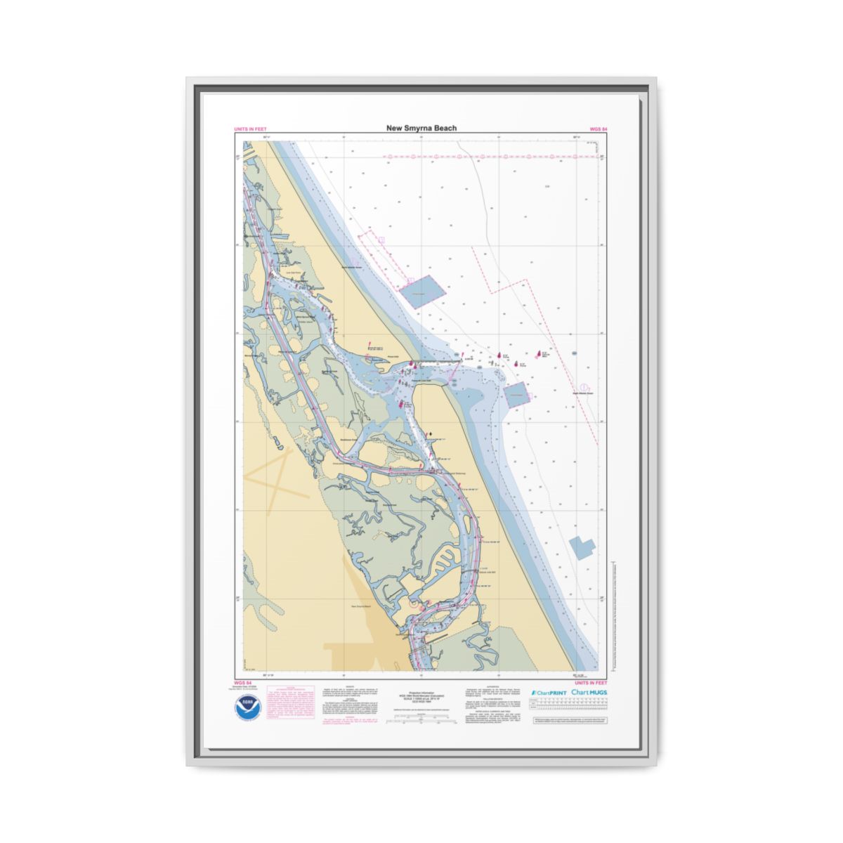 Floating Frame Canvas