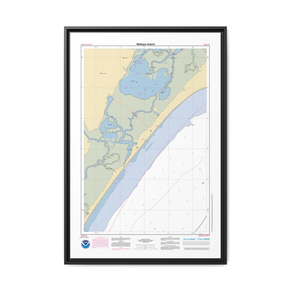 Canvas Framed Custom Chart of Wallops Island - NOAA Nautical Chart 22" x 34"