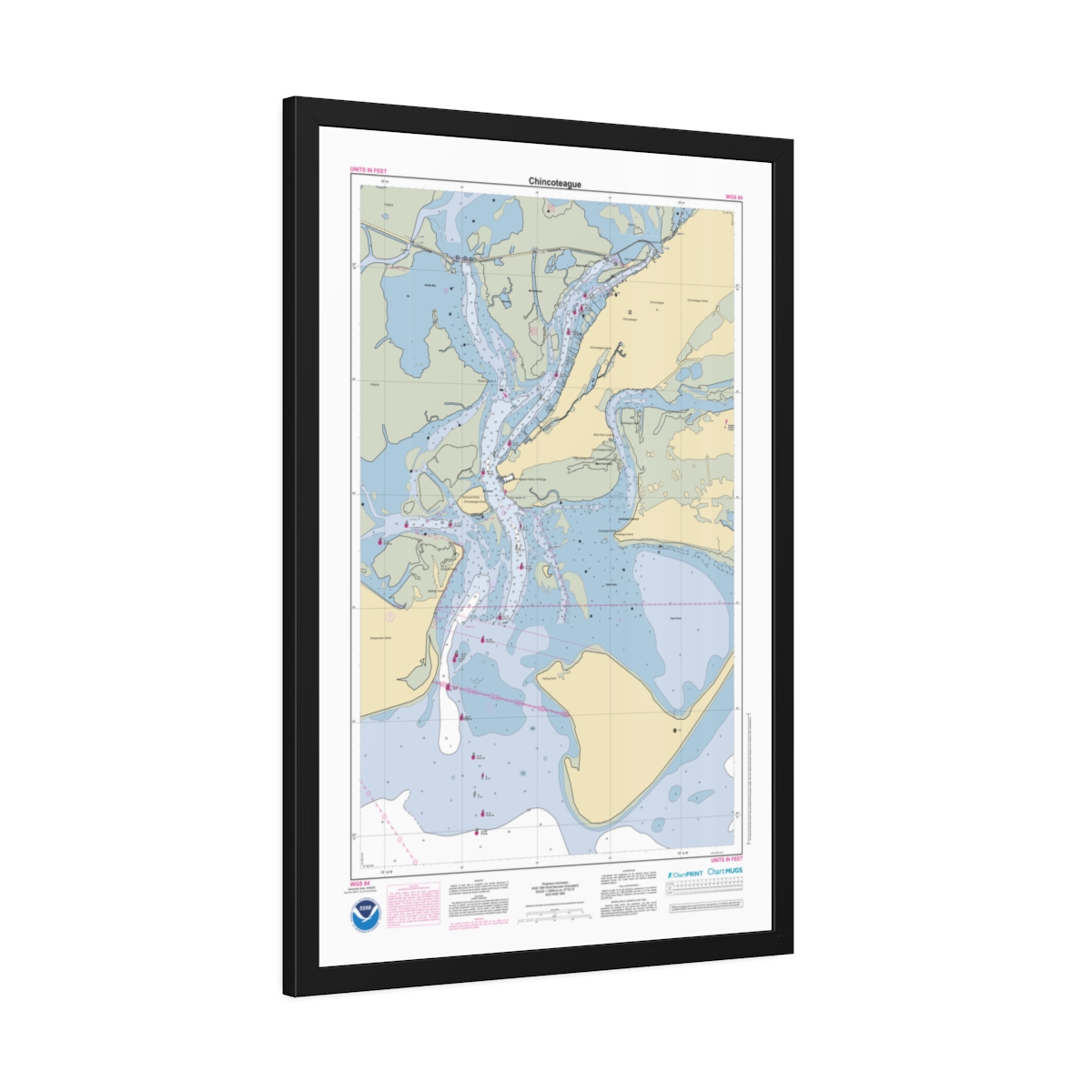 Framed Custom Chart of Chincoteague - NOAA Nautical Chart 22" x 34"