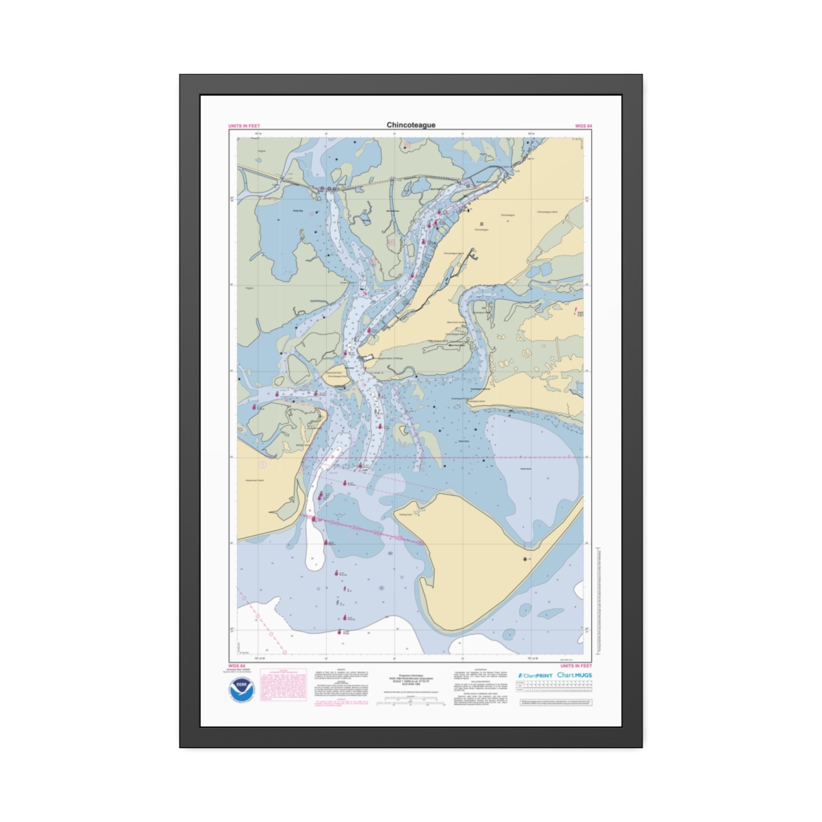 Framed Custom Chart of Chincoteague - NOAA Nautical Chart 22" x 34"