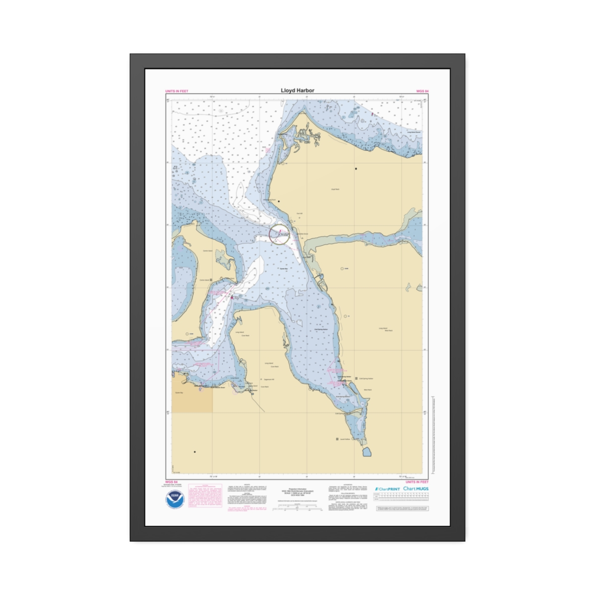 Framed Custom Chart of Lloyd Harbor - NOAA Nautical Chart 22" x 34"