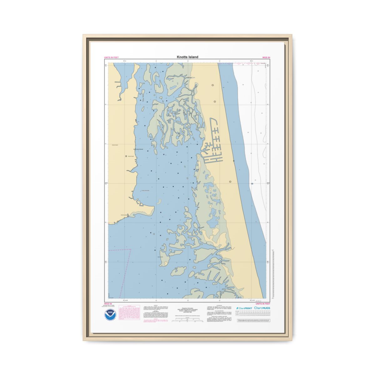 Floating Frame Canvas