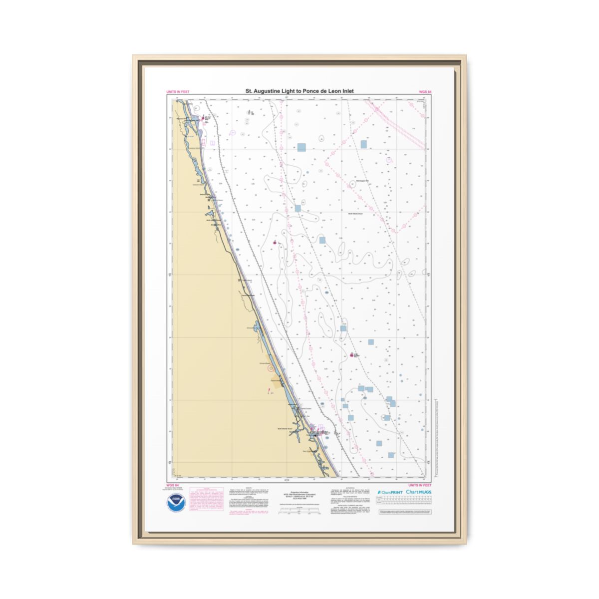 Floating Frame Canvas