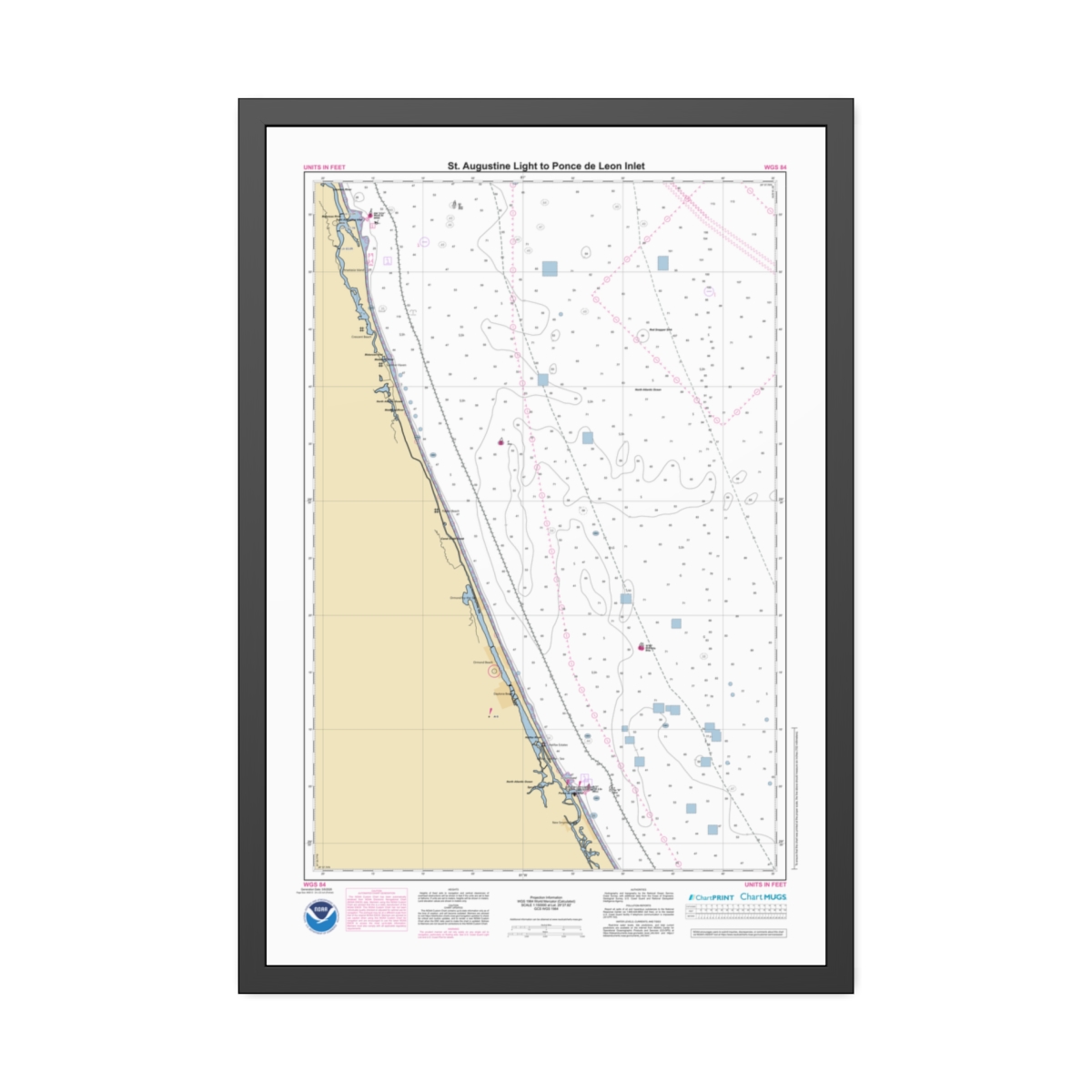Framed Paper Print