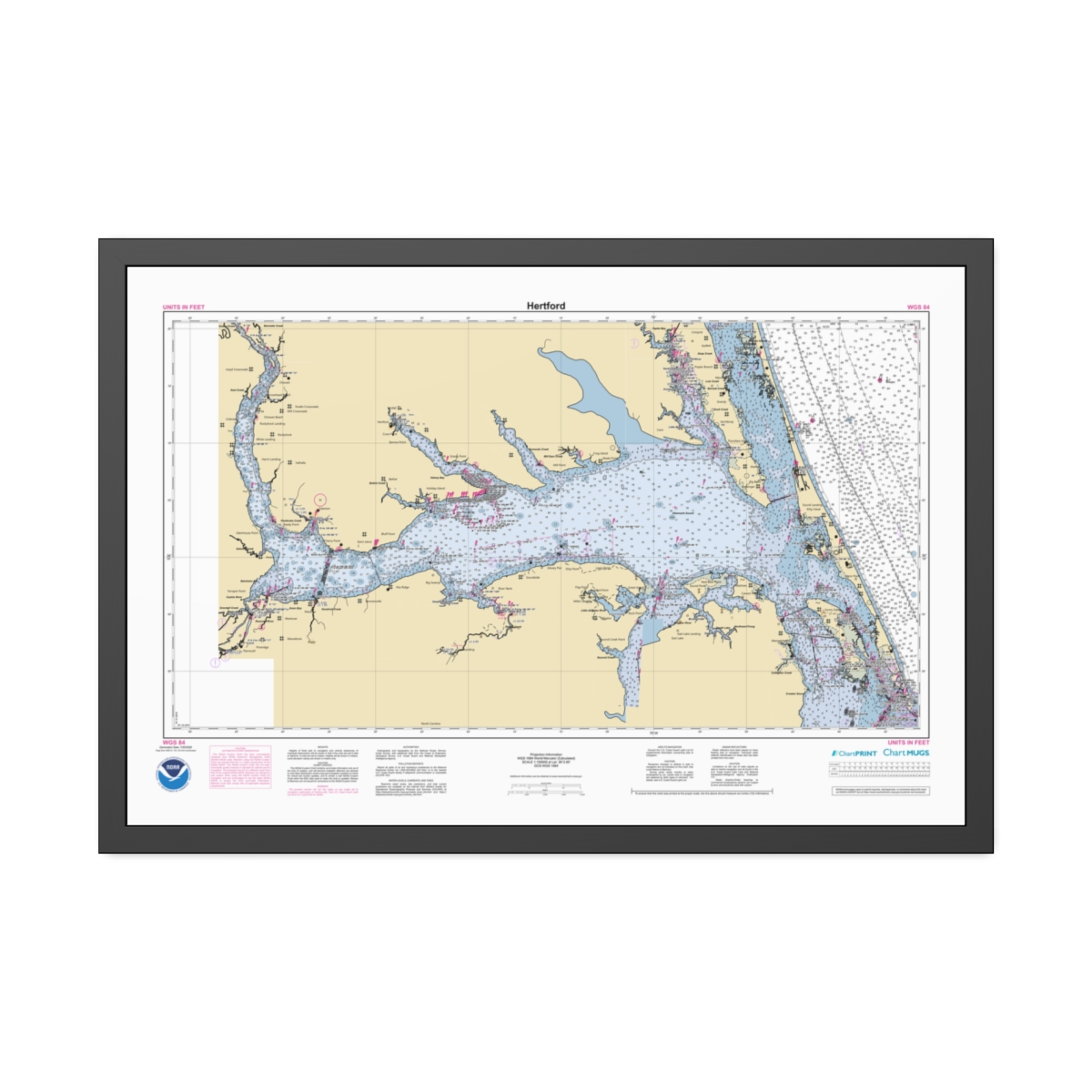 Framed Paper Print