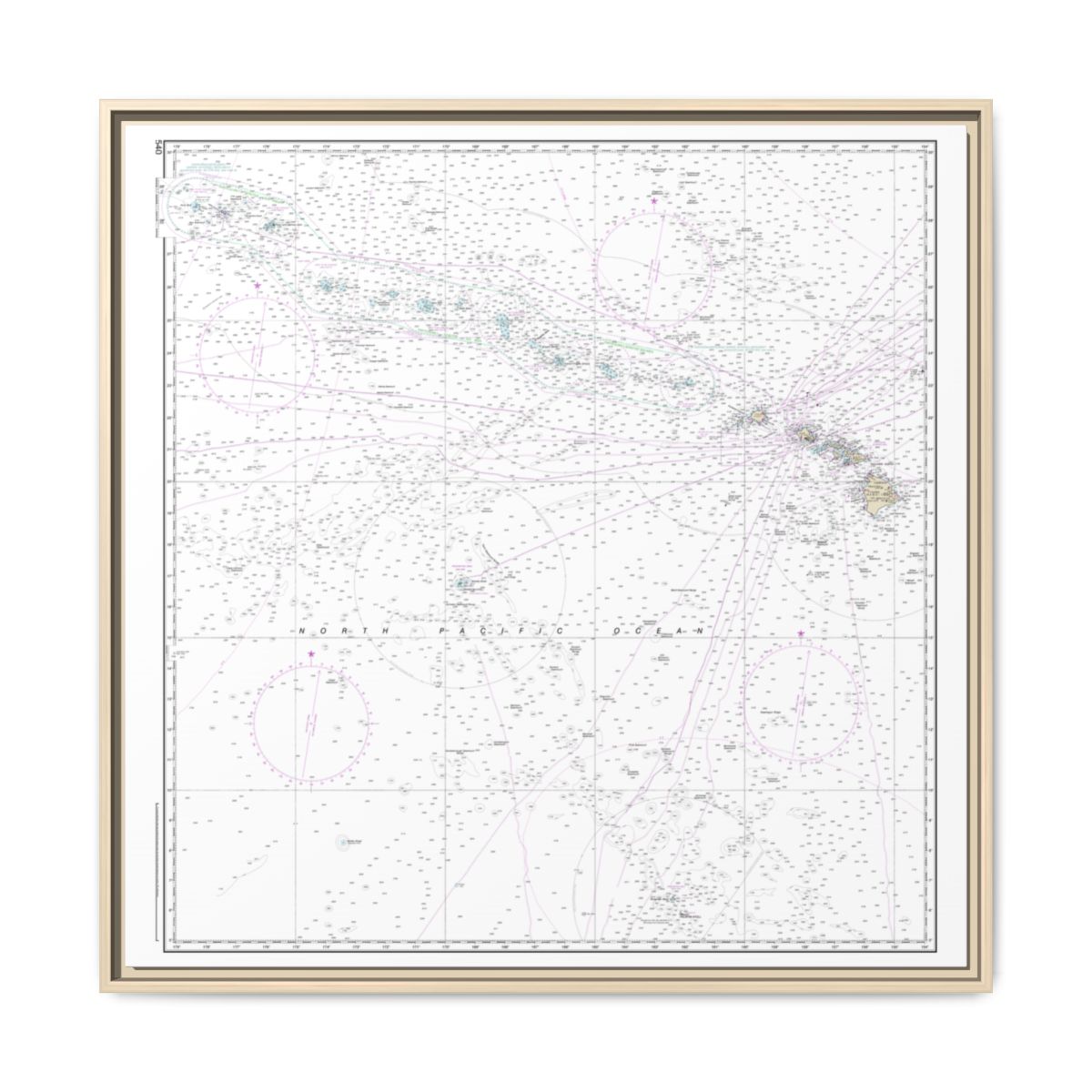 TEST RESYNC 1SIZE — Chart 540 Hawaiian Islands Floating Frame Canvas - Natural front