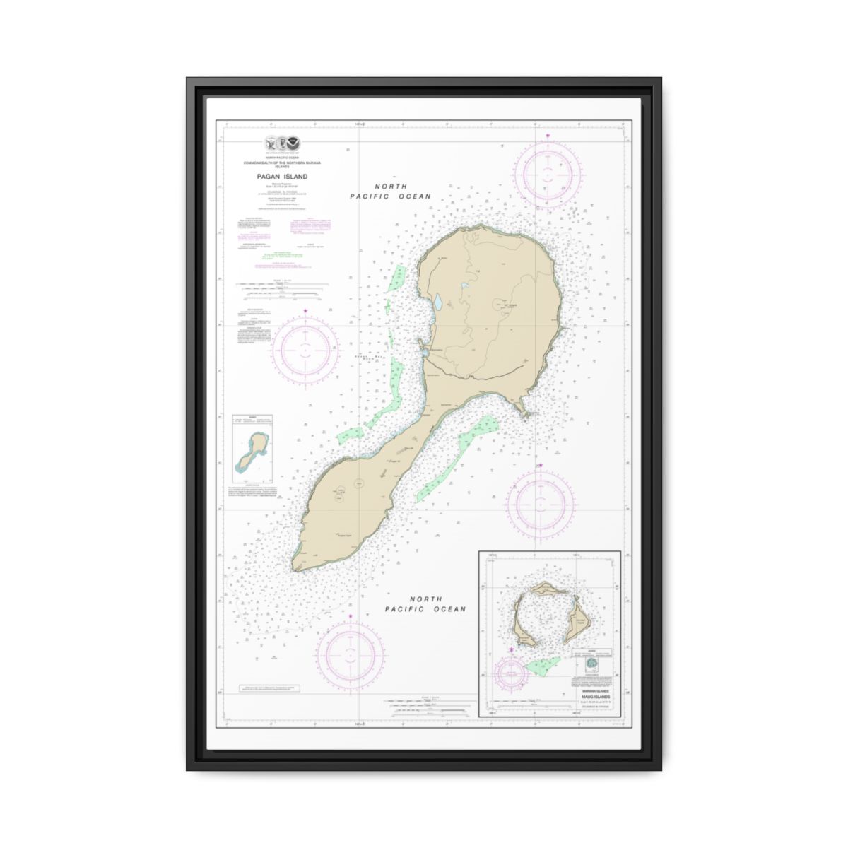 TEST RESYNC 3SIZEV — Chart 81092 Northern Mariana Floating Frame Canvas - Black front