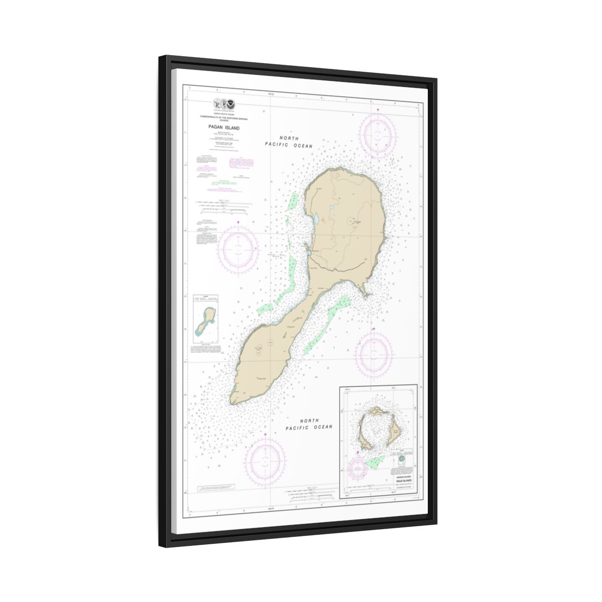 TEST RESYNC 3SIZEV — Chart 81092 Northern Mariana Floating Frame Canvas - Black side