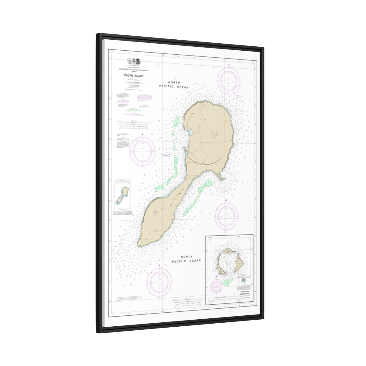 TEST RESYNC 3SIZEV — Chart 81092 Northern Mariana Floating Frame Canvas - Black side