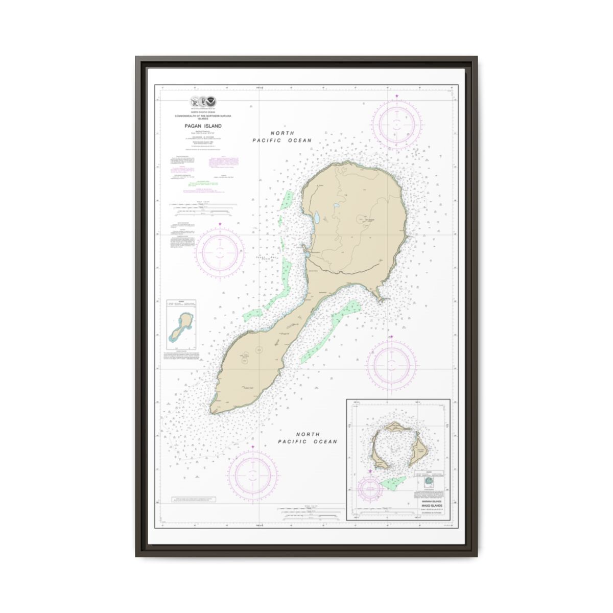 TEST RESYNC 3SIZEV — Chart 81092 Northern Mariana Floating Frame Canvas - Espresso front