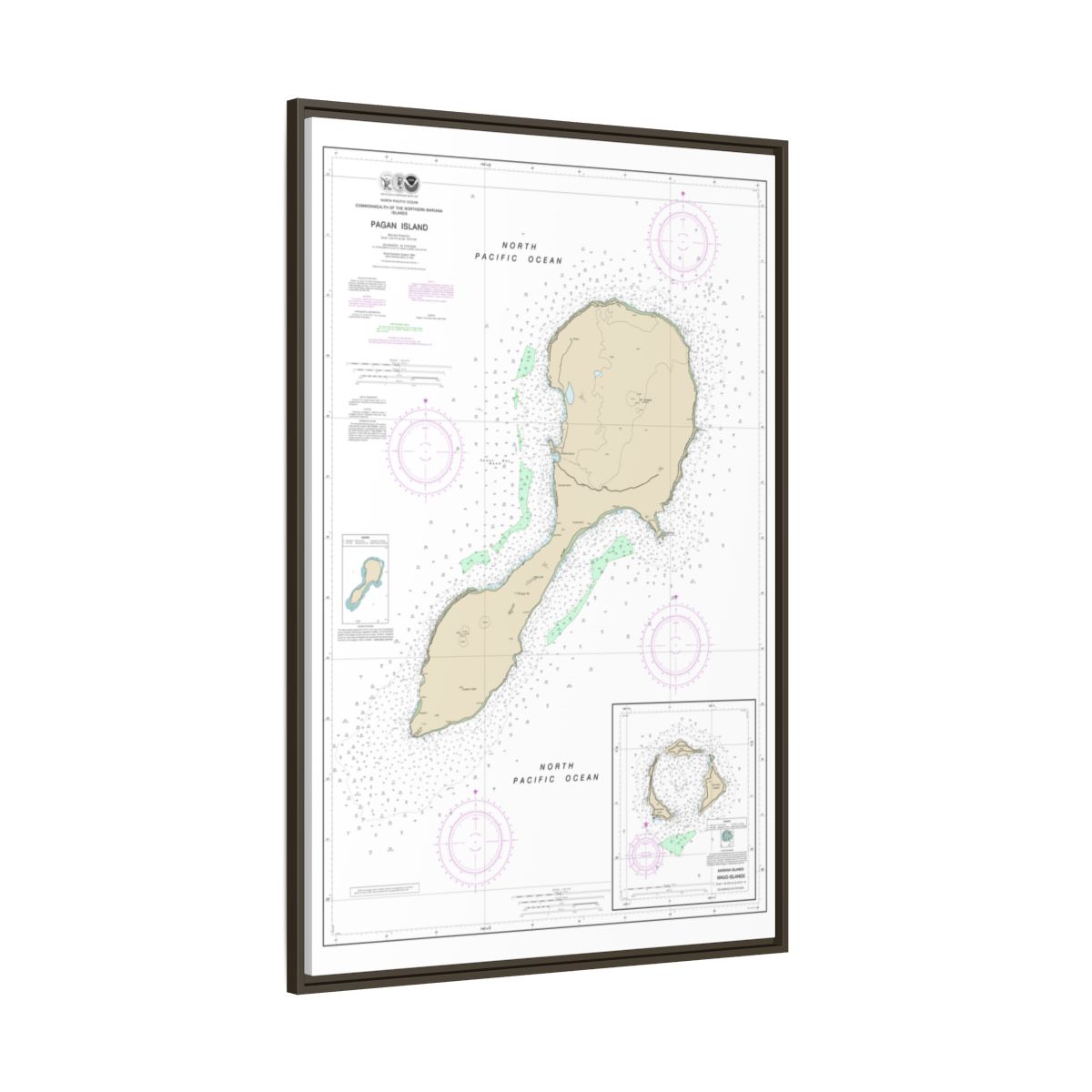 TEST RESYNC 3SIZEV — Chart 81092 Northern Mariana Floating Frame Canvas - Espresso side