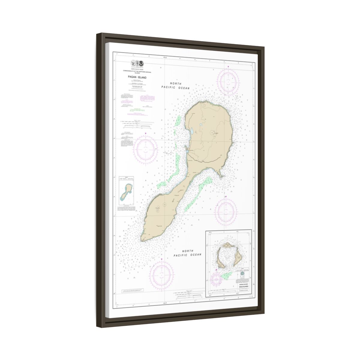 TEST RESYNC 3SIZEV — Chart 81092 Northern Mariana Floating Frame Canvas - Espresso side