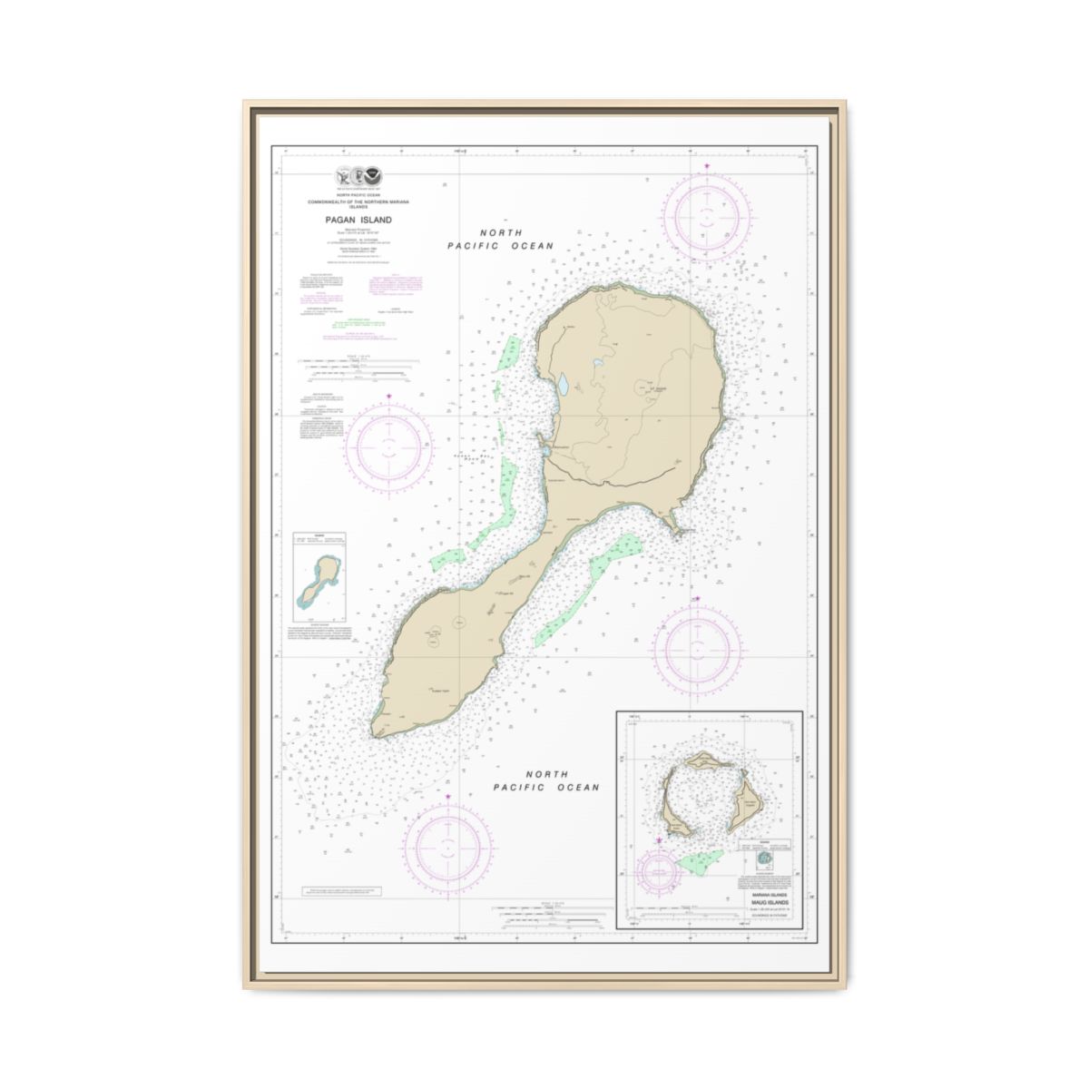 TEST RESYNC 3SIZEV — Chart 81092 Northern Mariana Floating Frame Canvas - Natural front