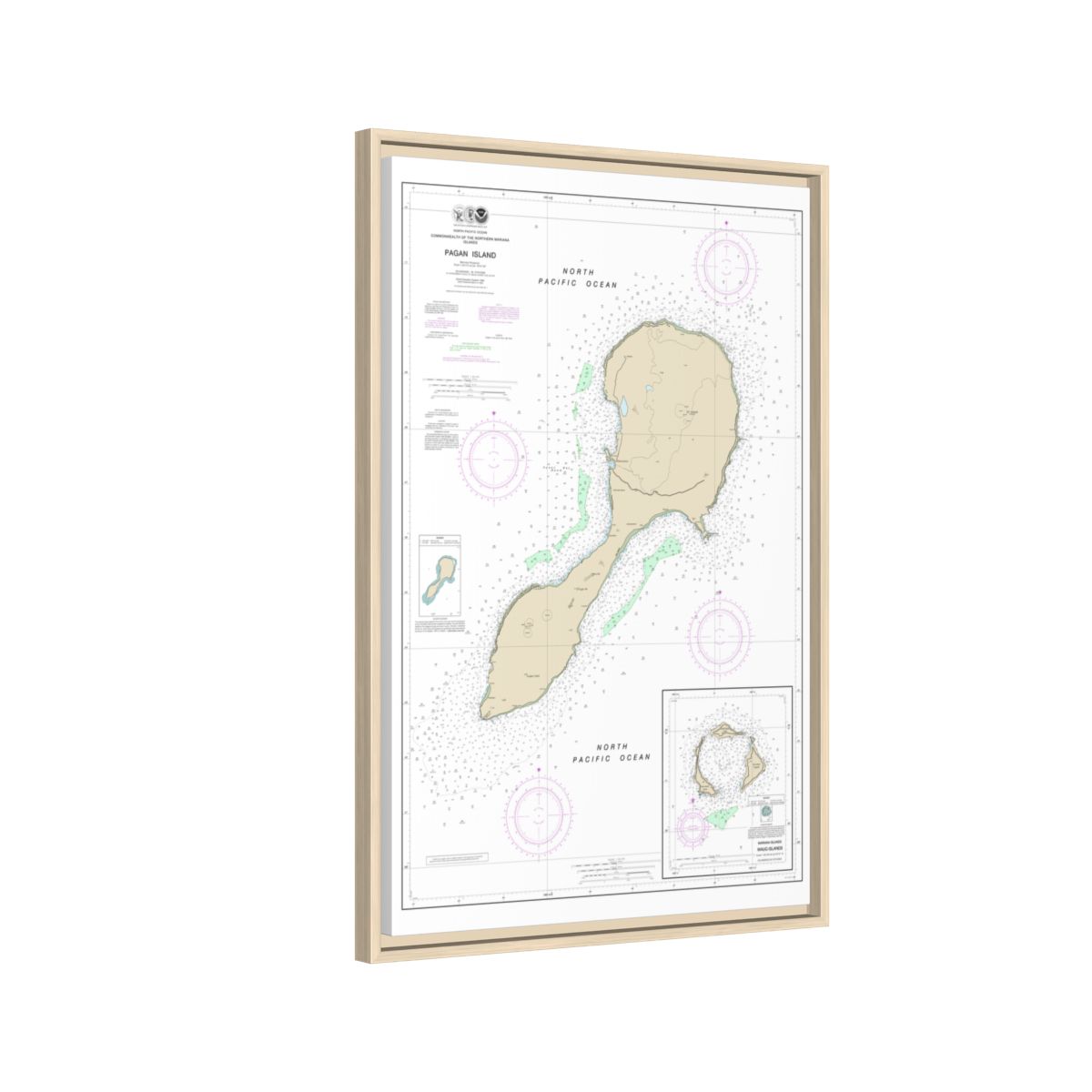 TEST RESYNC 3SIZEV — Chart 81092 Northern Mariana Floating Frame Canvas - Natural side