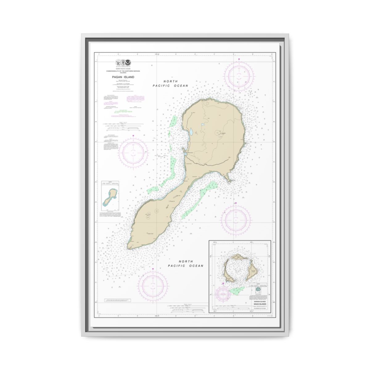Floating Frame Canvas