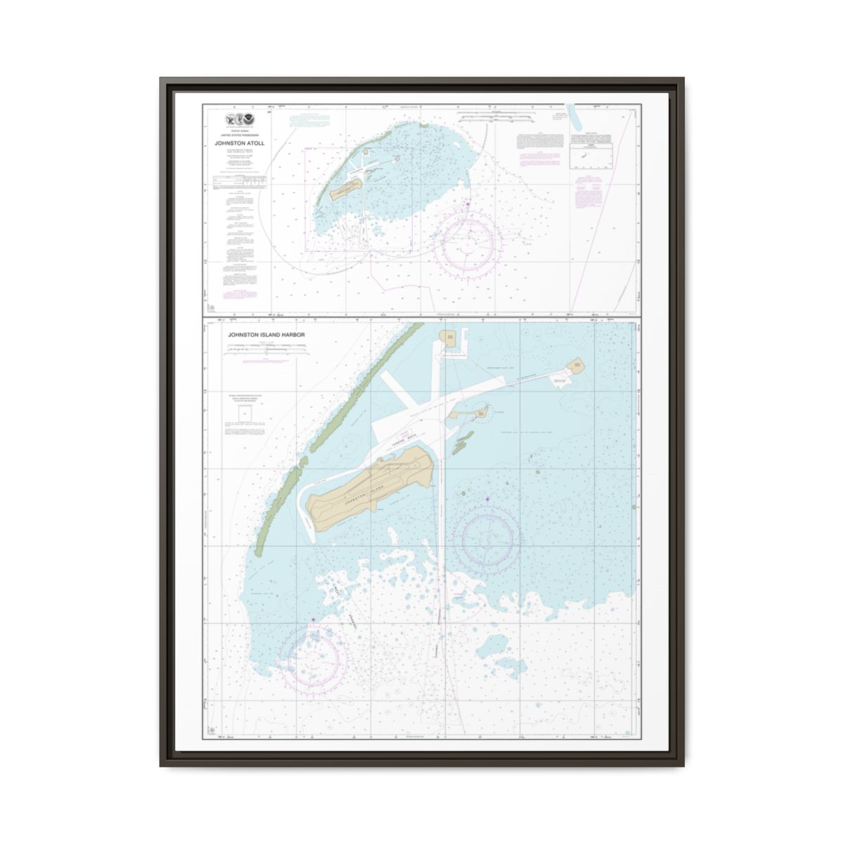 TEST RESYNC — Chart 83637 Johnston Atoll Floating Frame Canvas